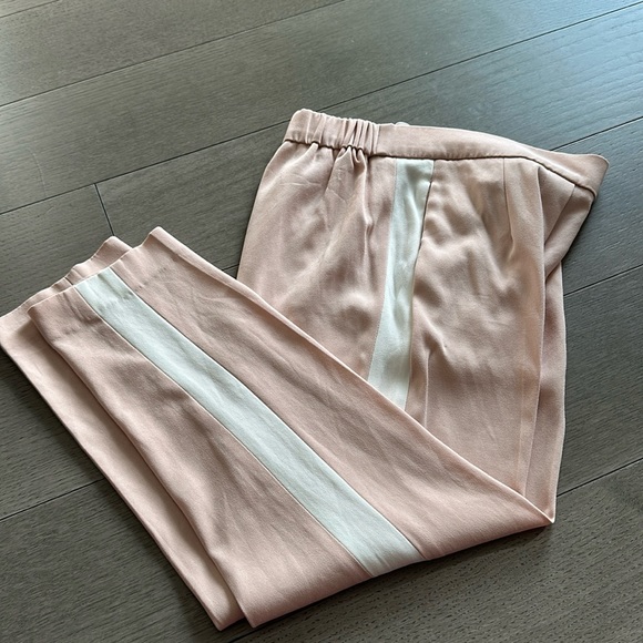 Aritzia Pants - Aritzia Conan Pant 00